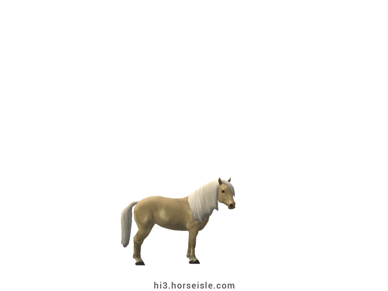 South African Miniature Horse Brown Cream Pearl Silver Coat